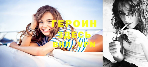 индика Алексин