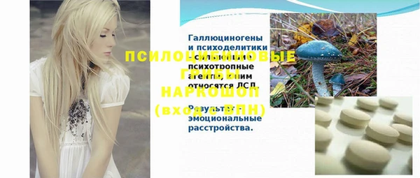 индика Алексин