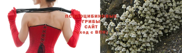 тгк Абдулино