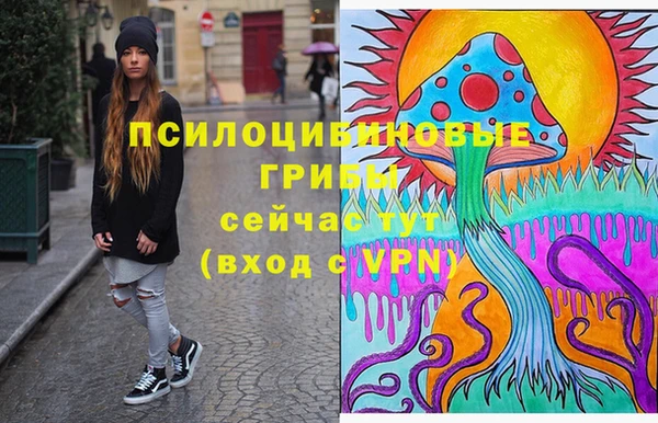 индика Алексин
