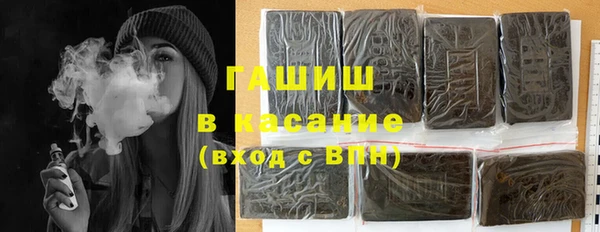 индика Алексин