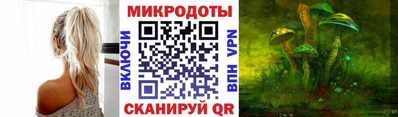KRAKEN онион Богородск Галлюциногенные грибы Cubensis